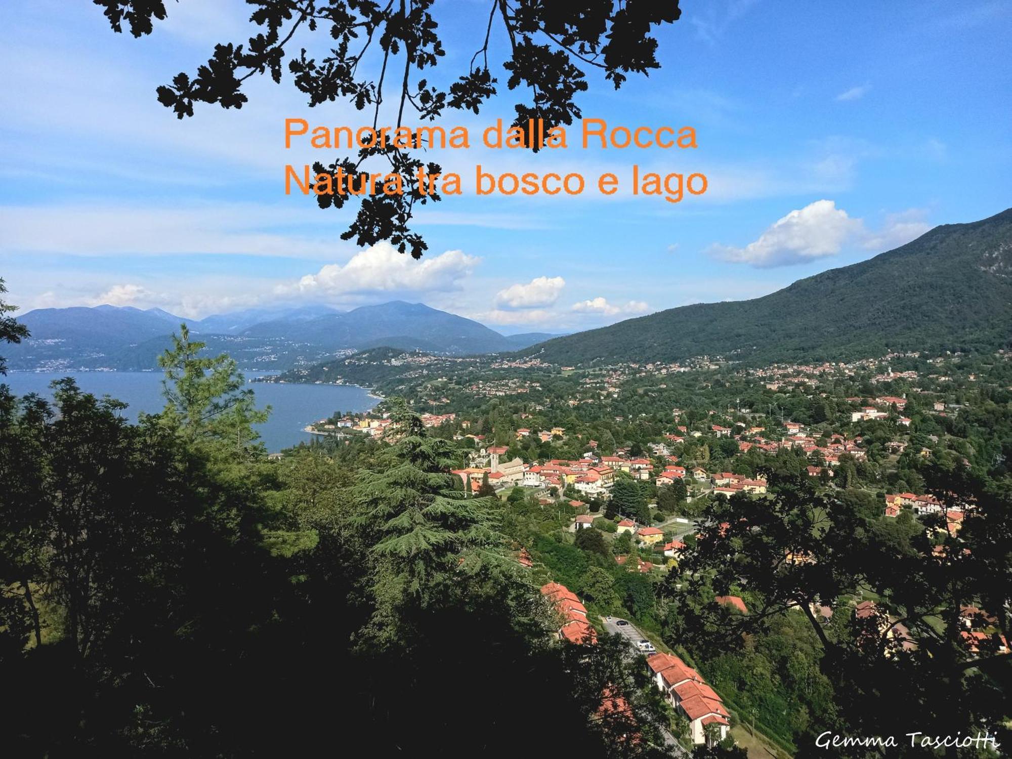 Castelveccana Natura Tra Bosco E Lago מראה חיצוני תמונה